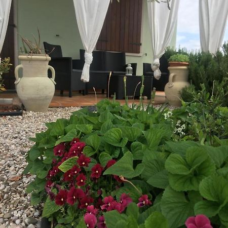 Appartamento Sofia Lazise Ngoại thất bức ảnh